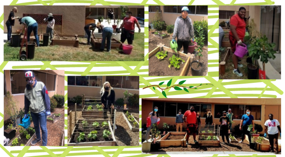 student garden