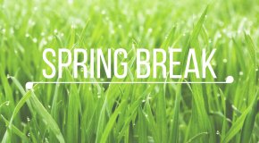 grass spring break