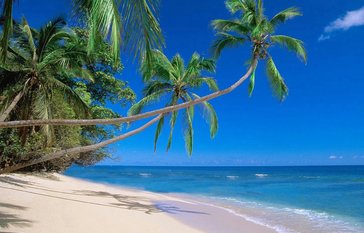 Hawaiian Beach 