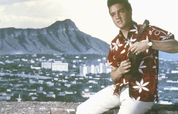 Hawaiian shirt day 